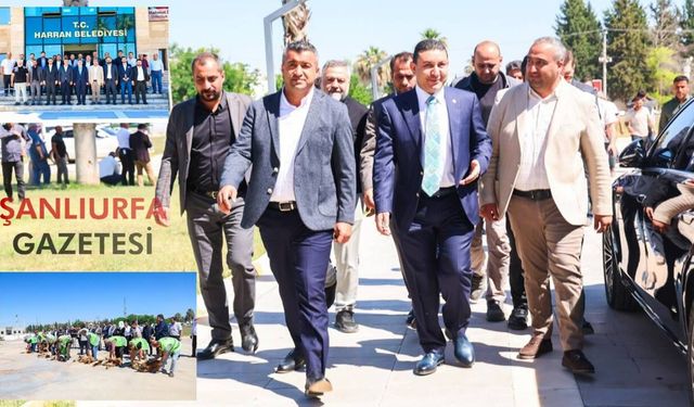 Şanlıurfaspor Yönetiminden İlk Ziyaret Harran’a: 7 Kurban Kesildi