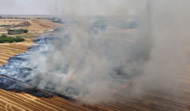 Anız yakmadan üretim mümkün: toprak korunuyor, maliyetler azalıyor