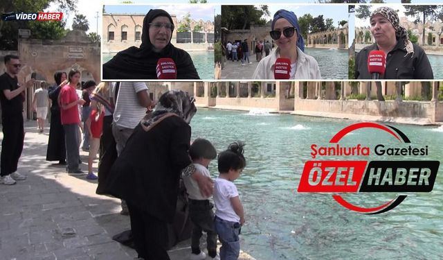 Şanlıurfa'nın Gizemli Beyaz Balığı! Balıklıgöl'de Görenlerin Dileği Kabul Oluyor İddiası
