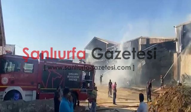 Şanlıurfa'da besi çiftliğinde yangın: Ekiplerin müdahalesi sürüyor, olay yerinden ilk görüntüler