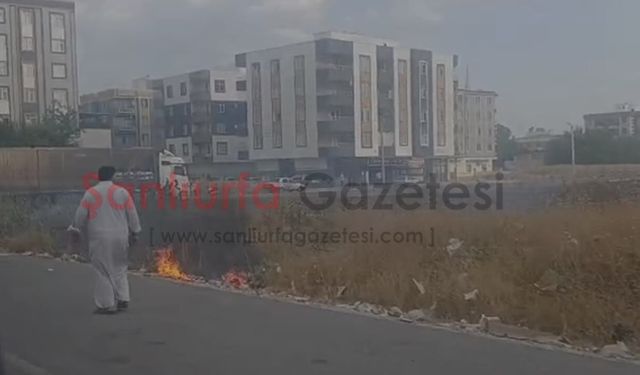 Şanlıurfa'da Anız Yangını Park Halindeki TIR'a Sıçradı! Facia Son Anda Önlendi