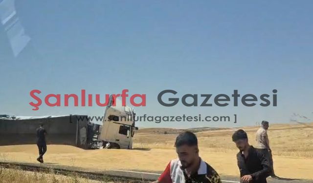 Şanlıurfa'da buğday yüklü kamyon devrildi