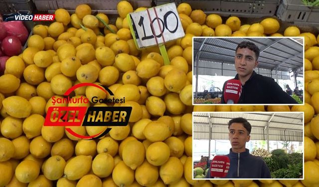 Şanlıurfa'da Limon Cep Yakıyor: Vatandaş Kiloyla Değil, Taneyle Alıyor