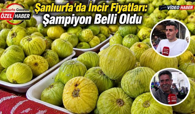 Şanlıurfa o meyvenin hem şampiyonunu belirledi hem de borsasını