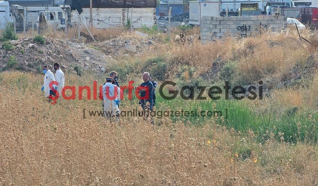 Şanlıurfa’da boş arazide hareketsiz bulundu: Ölümü araştırılıyor