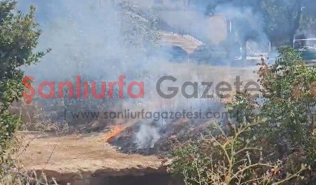 Şanlıurfa'da Parktaki Otluk Alanda Yangın Paniği