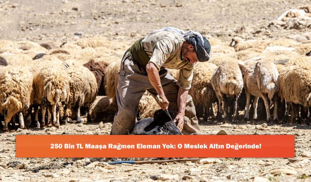 250 Bin TL Maaşa Rağmen Eleman Yok: O Meslek Altın Değerinde!