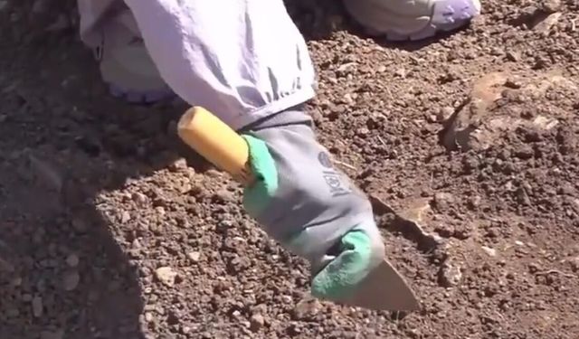 Çin’in Türkiye’deki ilk arkeolojik kazısı Şanlıurfa’da: Büyükelçi Xuebin'den kritik açıklama