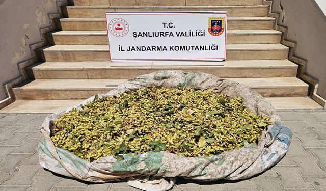 Şanlıurfa’da Jandarma ve JASAT’tan ortak operasyon: 4 gözaltı