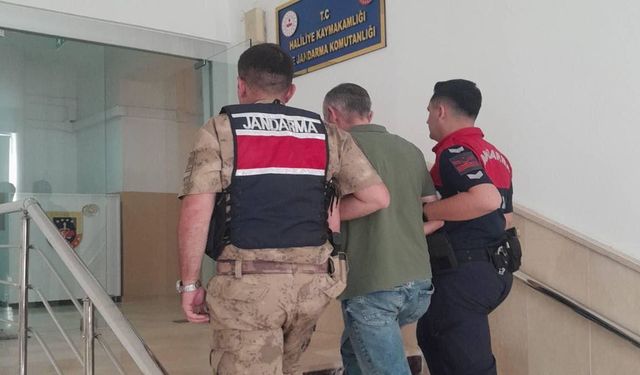Şanlıurfa jandarmadan firari avı: 1 gözaltı