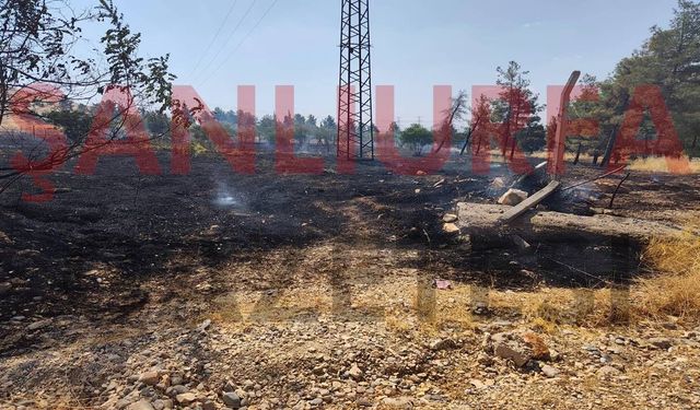 Şanlıurfa’da Anız Yangını Kısa Sürede Söndürüldü