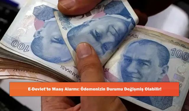 E-Devlet’te Maaş Alarmı: Ödemenizin Durumu Değişmiş Olabilir!