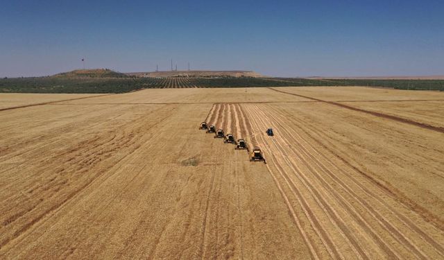 TİGEM Şanlıurfa için o cihaz alımı için düğmeye bastı: Firmaların gözü bu tarihte