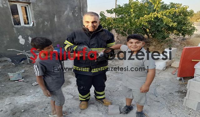 Şanlıurfa İtfaiyesinden yüreklere dokunan kurtarış: “Ölmekten son anda kurtarıldı”