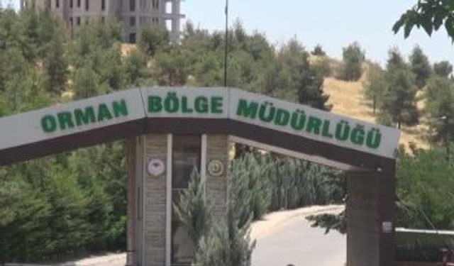 Şanlıurfa Orman Fidanlık Müdürlüğü İhaleye Çıkıyor: Son Gün 2 Kasım!