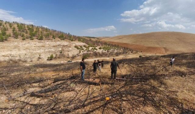 Şanlıurfa Birecik'te son durum ne? Erozyon Kontrolü Uygulama Proje Sahası’nda yerinde inceleme