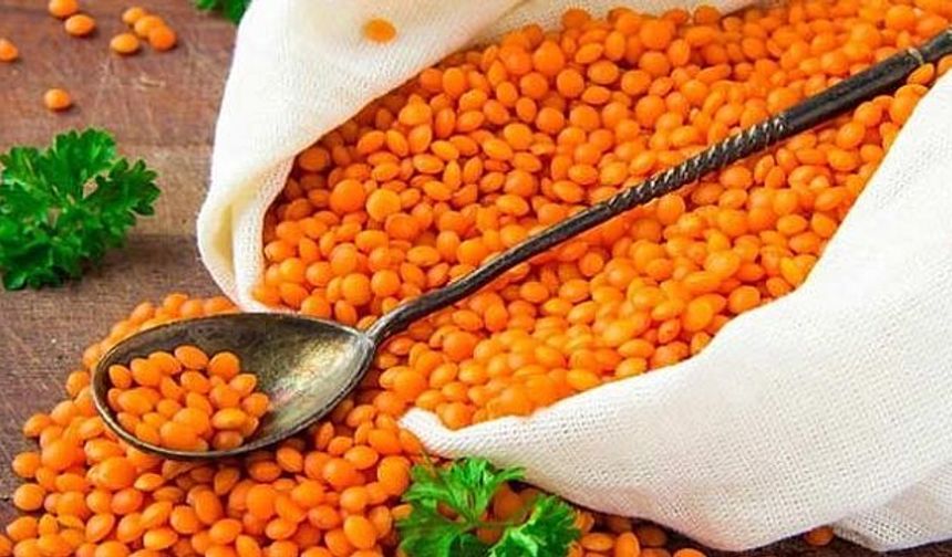 Ceylanpınar Tarım İşletmesi, 3 bin 562 ton mercimek satacak