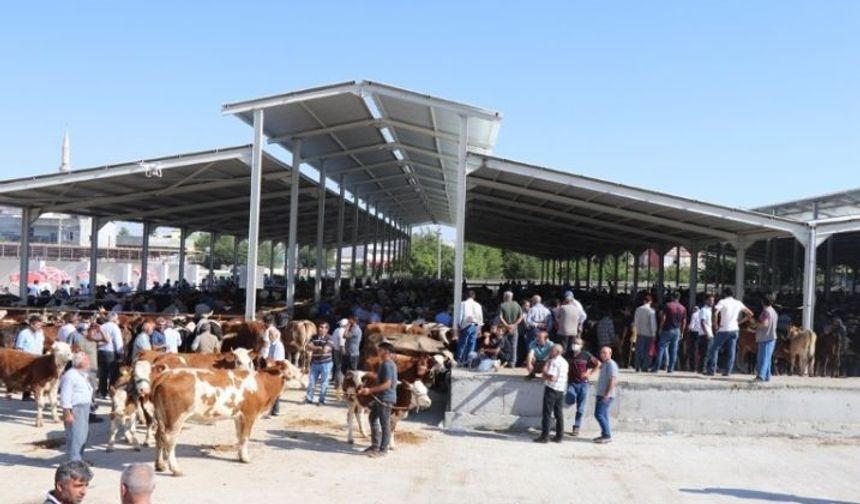 Şanlıurfa Karaköprü’de Kurban Kesim Yerleri Açıklandı