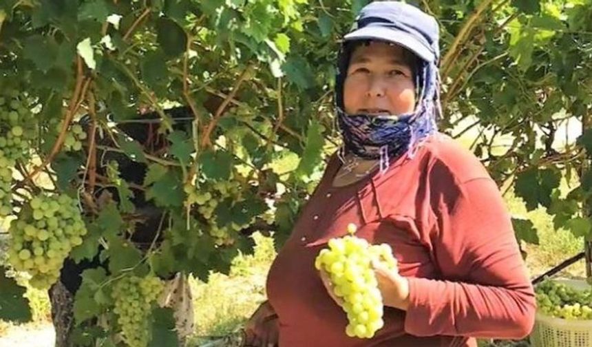 Şanlıurfa'da tarım bereketlenecek: Tarım Bakanı Yumaklı müjeyi verdi!