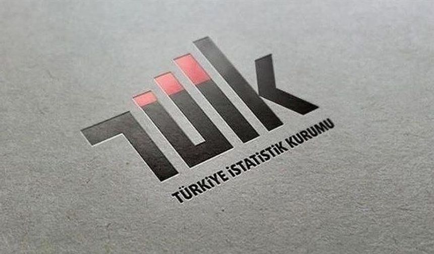 TÜİK 9 uzman yardımcısı alacak