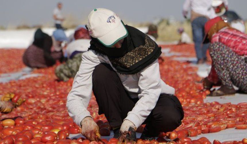 Türkiye'nin ihracat oranları ivme kazanıyor!
