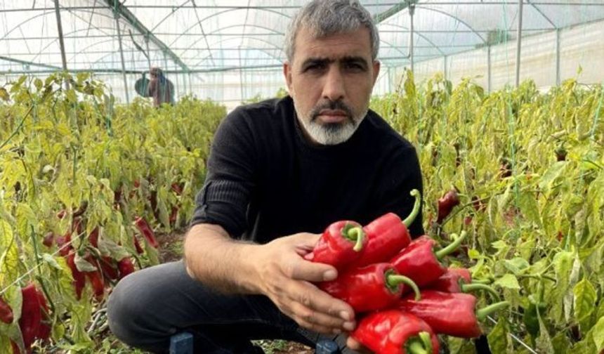 Şanlıurfalı çiftçilere seminer verildi