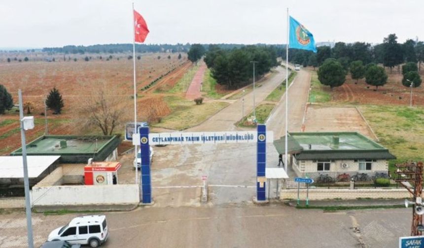 Ceylanpınar Tarım İşletmesi Müdürlüğü 2026 Yılı Giyecek İlanını Yayınladı: İşte Detaylar!