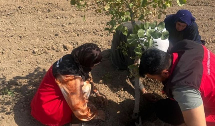 Şanlıurfa İl Tarım Müdürlüğü #TarımSahada Etiketiyle vatandaşlarla buluştu