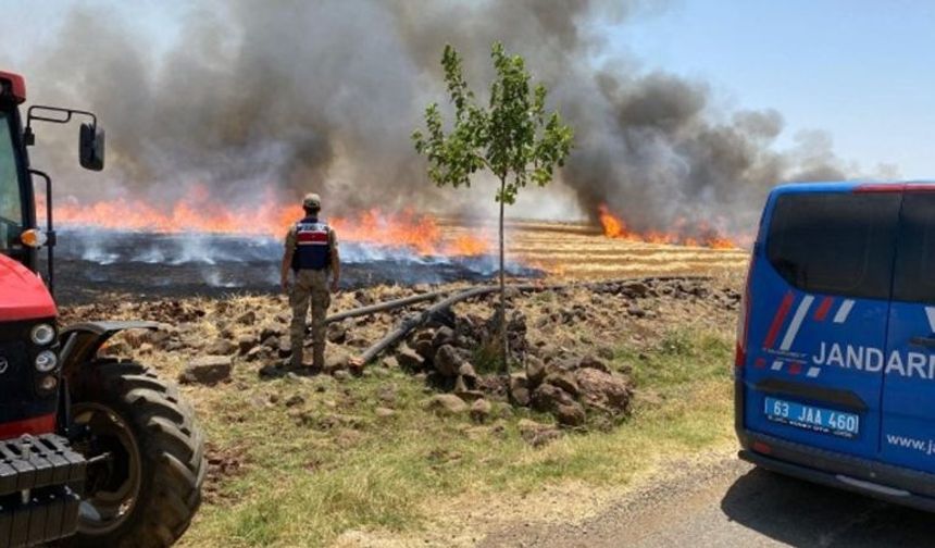 Şanlıurfa’da Anız Yakana Ceza Uyarısı! İl Müdürlüğü Yasak Olduğunu Duyurdu