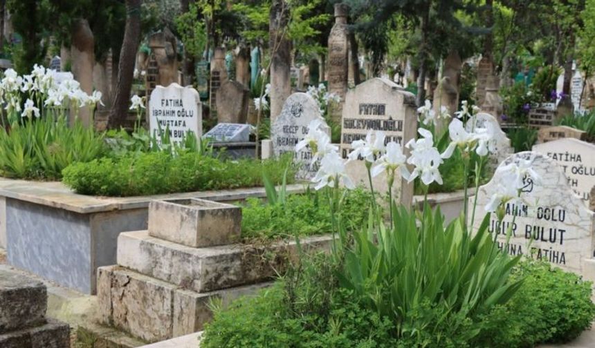 Halime Tepe Hayatını Kaybetti