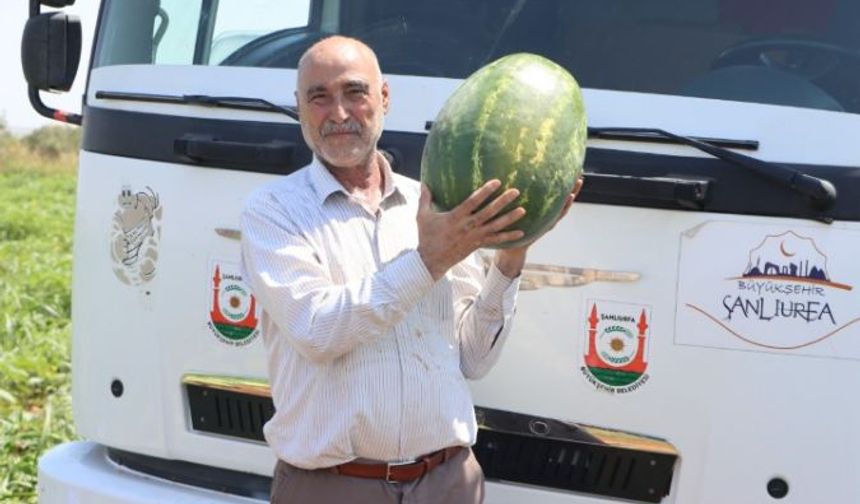 Şanlıurfa Büyükşehir’den hem çiftçiye hem vatandaşa destek!