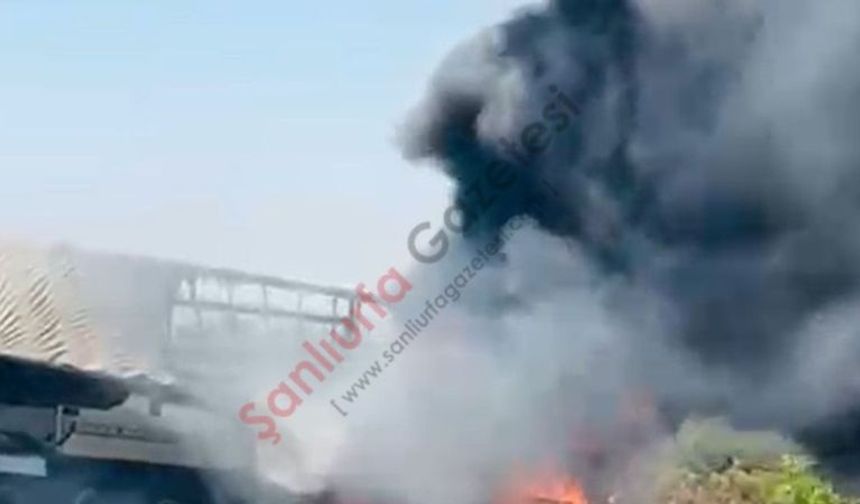 Şanlıurfa-Gaziantep Otoyolunda Tır Alev Alev Yandı