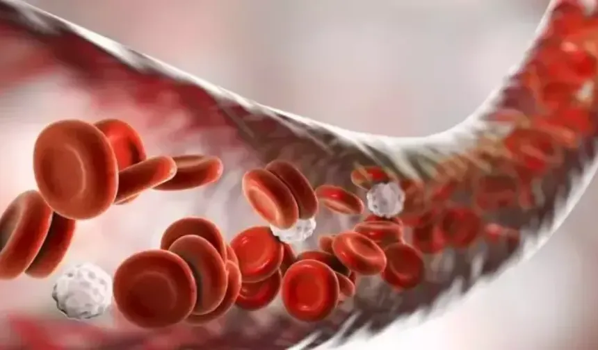 Çocukluk Çağı Kan Hastalıklarında Erken Teşhis Hayati Önemde!