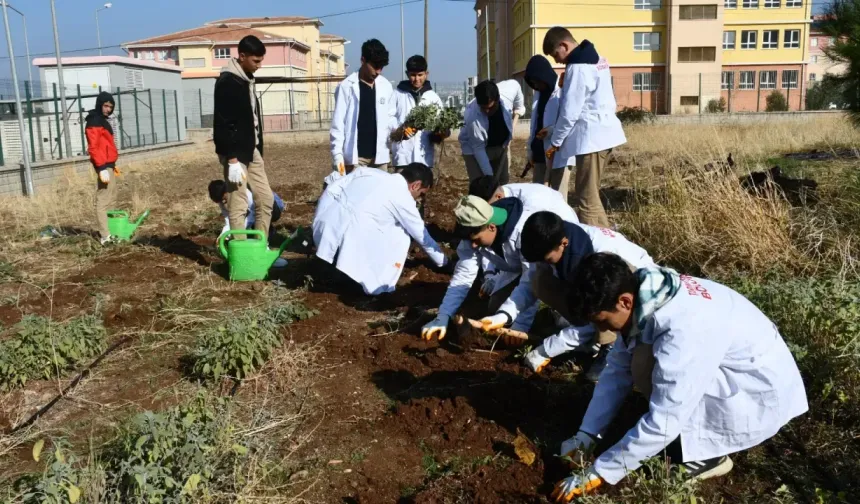 Şanlıurfa’da Lise Öğrencilerinden Tohumdan Sofraya Tarım Projesi!