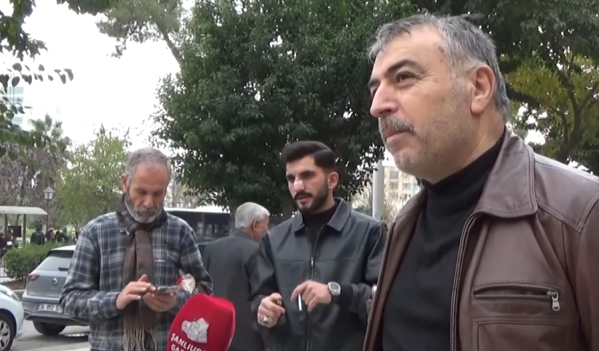 Şanlıurfa’da Hem Sokak Hayvanı Hem Trafik Şikâyeti Arttı!