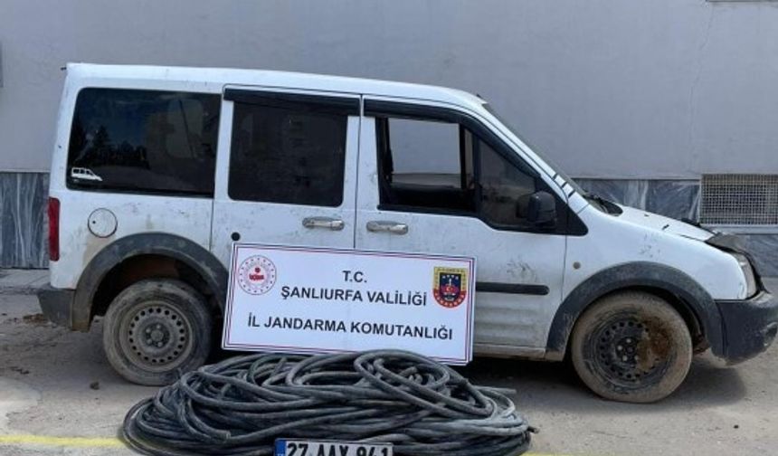 Şanlıurfa Birecik'te Jandarmadan Hırsızlık Operasyonu!