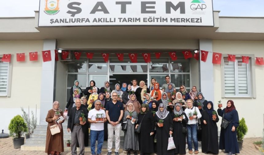 Şanlıurfa Büyükşehir’den Emeklilere Yeşil Terapi Desteği