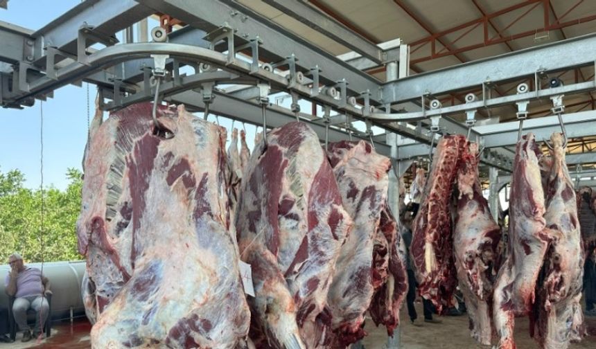 Şanlıurfa'da iki günde  258 Acemi Kasap Hastanelik Oldu