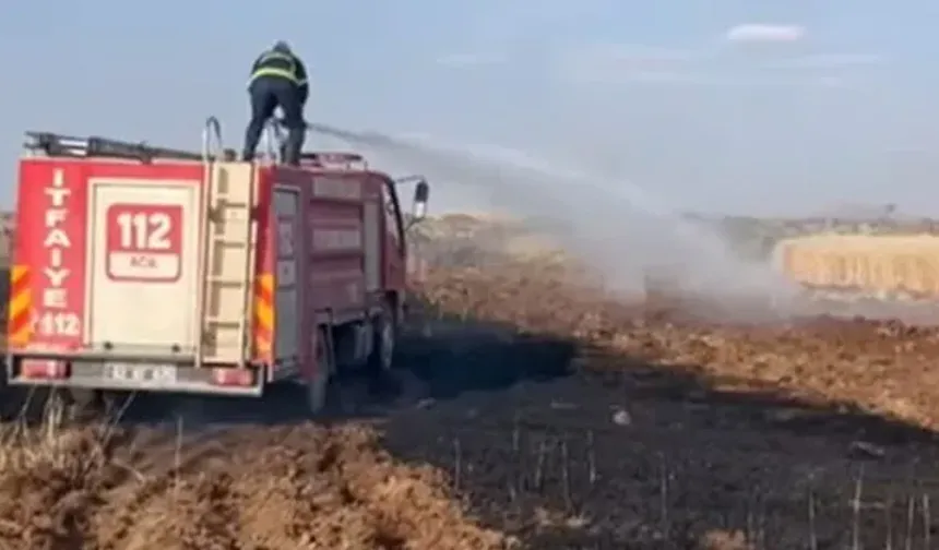 Şanlıurfa’da 170 Dönüm Buğday Tarlası Kül Oldu!