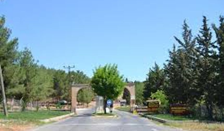 Şanlıurfa'da Ormanlara Girişler Yasaklandı: İşte Detaylar