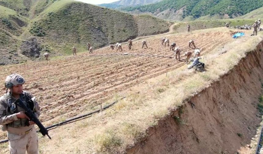 Şanlıurfa Destekli Dev Operasyon!