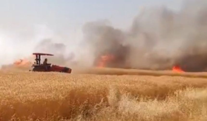Şanlıurfa Harran’da Dev Tarla Yangını!