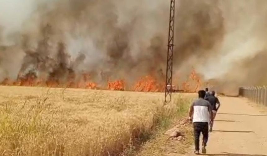 Şanlıurfa İtfaiyesi’nden 24 Saatte 92 Yangına Müdahale!