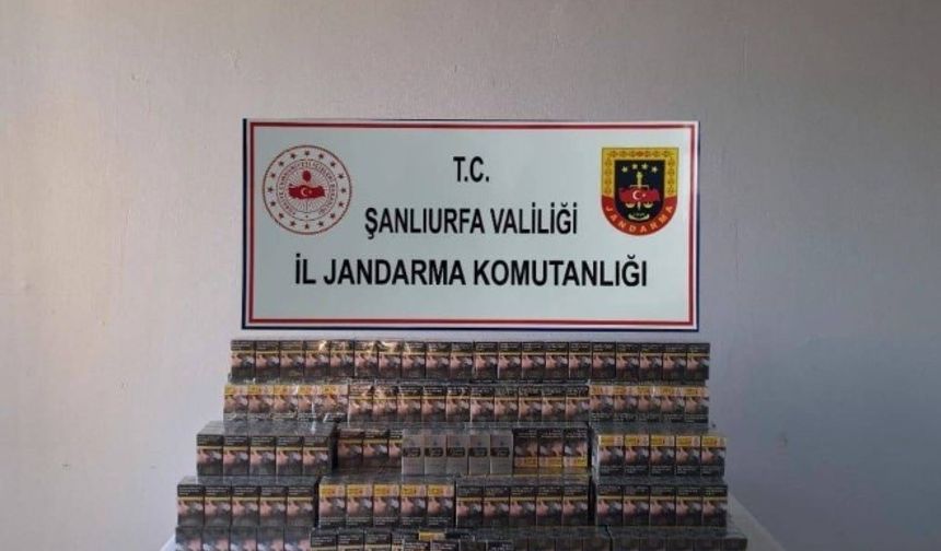 Şanlıurfa Viranşehir’de Jandarmadan Kaçak Sigara Operasyonu!