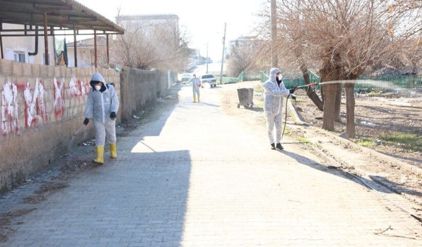 Şanlıurfa Ceylanpınar’da Larva İlaçlama Çalışmaları Başladı