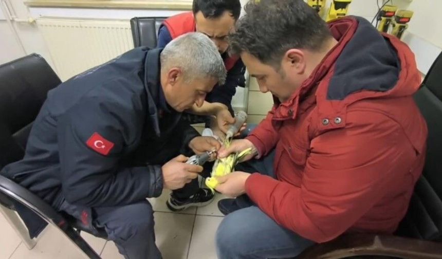 Papağanın Ayağına Sıkışan Halhal Şanlıurfa İtfaiye Ekiplerince Çıkarıldı