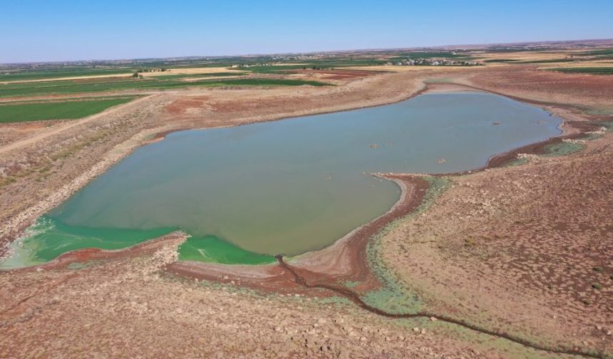 Viranşehir’de Çiftçinin Yüzü Güldü: Sulutepe Göleti Yeniden Doluyor
