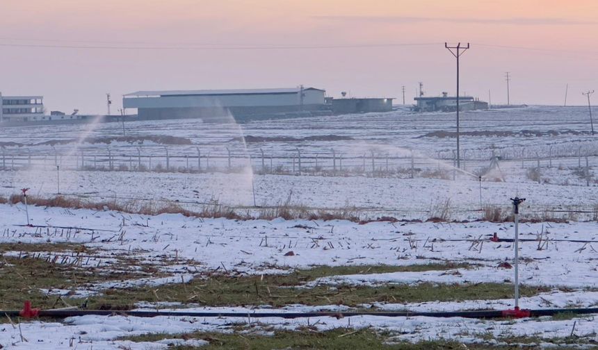 Şanlıurfa’da Karda Sulama Skandalı!