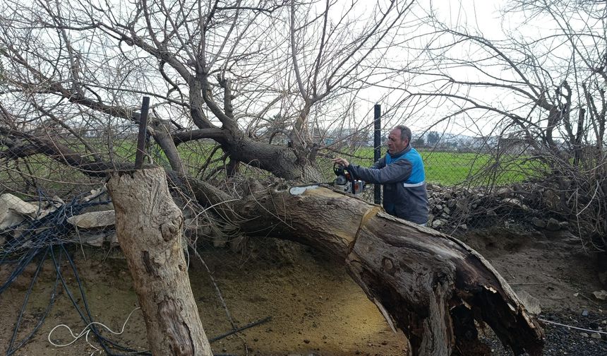 Birecik Belediyesi Park ve Bahçelerde Çalışmalarını Sürdürüyor