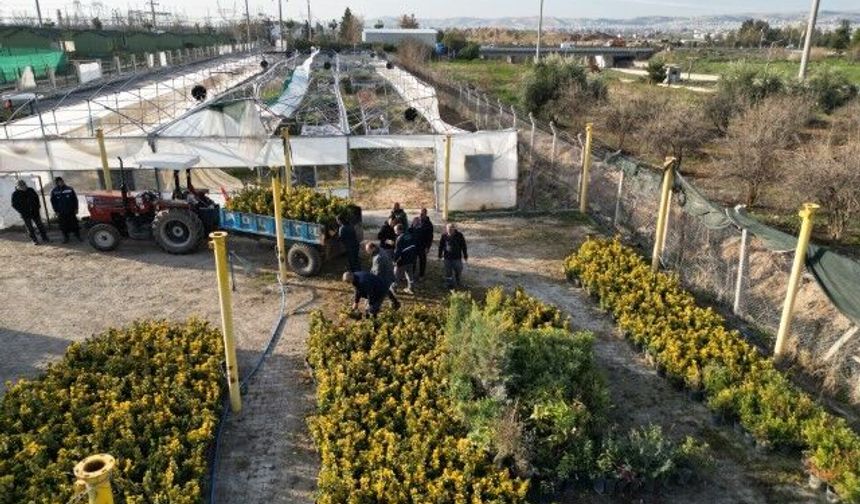 Şanlıurfa’da “Yeşil Bir Urfa” Seferberliği Sürüyor